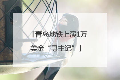 青岛地铁上演1万美金“寻主记”