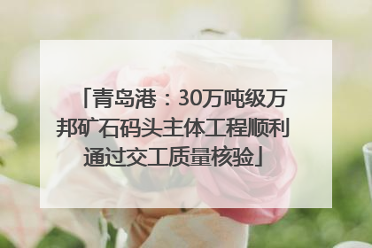 青岛港：30万吨级万邦矿石码头主体工程顺利通过交工质量核验