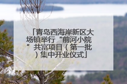 青岛西海岸新区大场镇举行“前河小院”共富项目（第一批）集中开业仪式