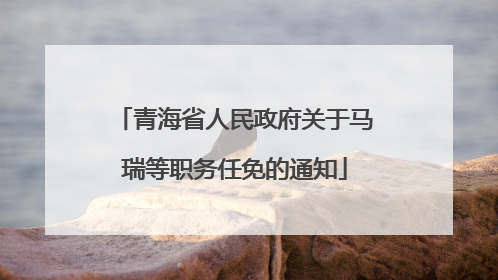 青海省人民政府关于马瑞等职务任免的通知