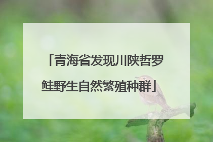 青海省发现川陕哲罗鲑野生自然繁殖种群