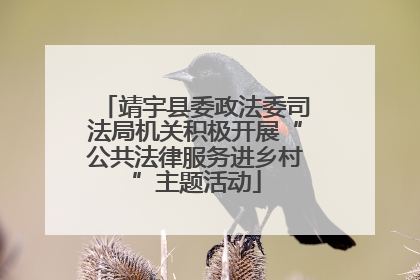 靖宇县委政法委司法局机关积极开展“公共法律服务进乡村”主题活动