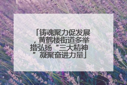 铸魂聚力促发展，黄鹤楼街道多举措弘扬“三大精神”凝聚奋进力量