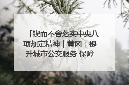锲而不舍落实中央八项规定精神｜黄冈：提升城市公交服务 保障出行“大民生”