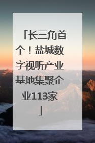 长三角首个！盐城数字视听产业基地集聚企业113家