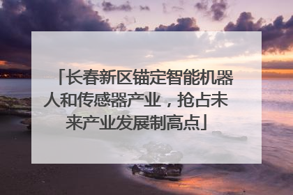 长春新区锚定智能机器人和传感器产业，抢占未来产业发展制高点