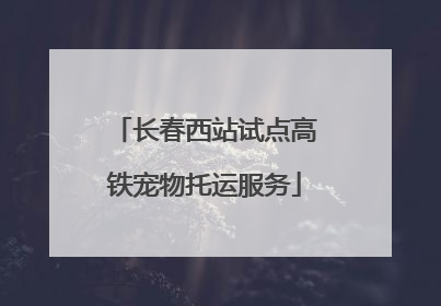 长春西站试点高铁宠物托运服务