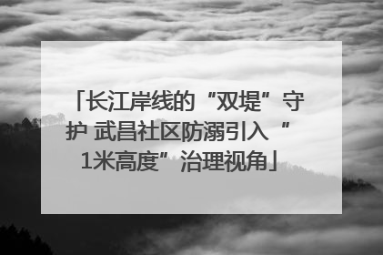 长江岸线的“双堤”守护 武昌社区防溺引入“1米高度”治理视角