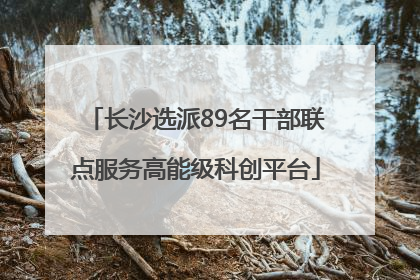 长沙选派89名干部联点服务高能级科创平台