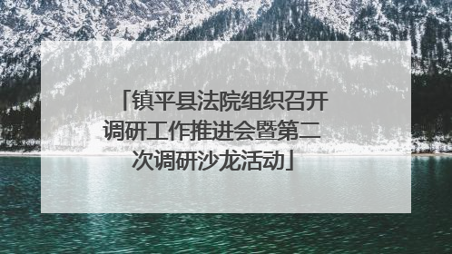 镇平县法院组织召开调研工作推进会暨第二次调研沙龙活动