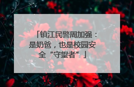 镇江民警周加强：是奶爸，也是校园安全“守望者”