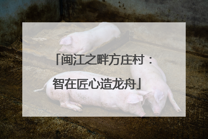 闽江之畔方庄村：智在匠心造龙舟