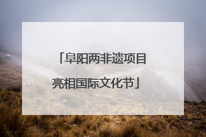 阜阳两非遗项目亮相国际文化节