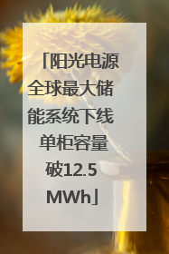 阳光电源全球最大储能系统下线 单柜容量破12.5MWh