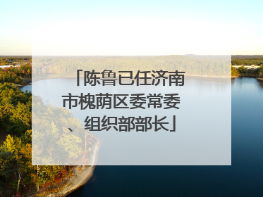 陈鲁已任济南市槐荫区委常委、组织部部长
