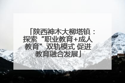 陕西神木大柳塔镇：探索“职业教育+成人教育”双轨模式 促进教育融合发展
