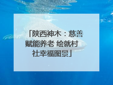陕西神木：慈善赋能养老 绘就村社幸福图景