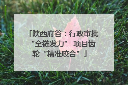 陕西府谷：行政审批“全链发力” 项目齿轮“精准咬合”