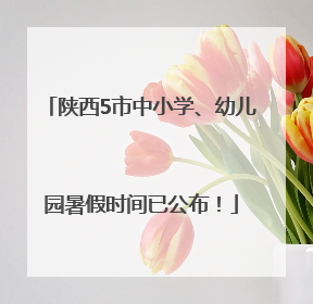 陕西5市中小学、幼儿园暑假时间已公布！