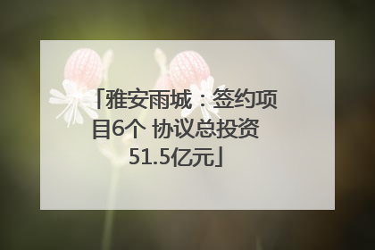 雅安雨城：签约项目6个 协议总投资51.5亿元