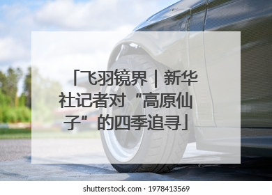 飞羽镜界｜新华社记者对“高原仙子”的四季追寻