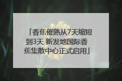 香蕉催熟从7天缩短到3天 新发地国际香蕉集散中心正式启用