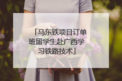 马东铁项目订单班留学生赴广西学习铁路技术