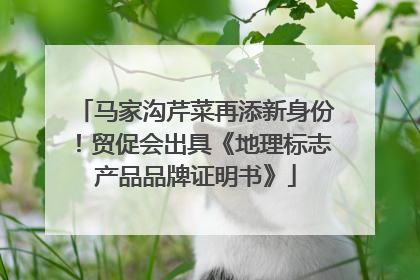 马家沟芹菜再添新身份！贸促会出具《地理标志产品品牌证明书》