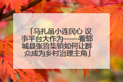 马扎虽小连民心 议事平台大作为——看郓城县张鲁集镇如何让群众成为乡村治理主角