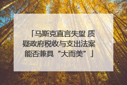 马斯克直言失望 质疑政府税收与支出法案能否兼具“大而美”