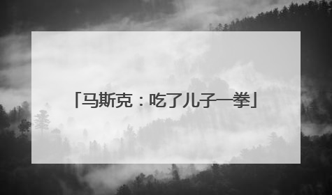 马斯克：吃了儿子一拳