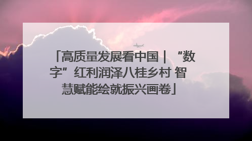 高质量发展看中国｜“数字”红利润泽八桂乡村 智慧赋能绘就振兴画卷