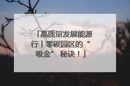 高质量发展能源行丨零碳园区的“吸金” 秘诀！