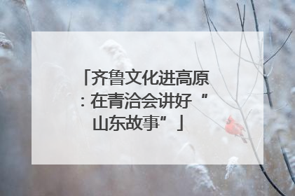 齐鲁文化进高原：在青洽会讲好“山东故事”