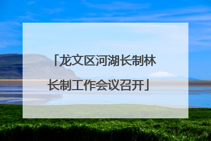 龙文区河湖长制林长制工作会议召开