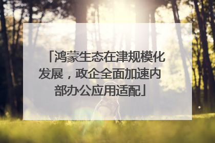 鸿蒙生态在津规模化发展，政企全面加速内部办公应用适配