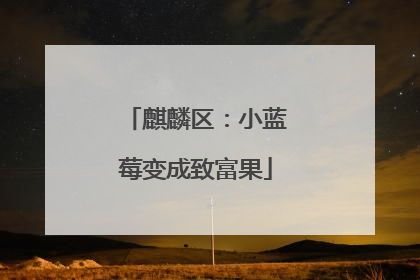 麒麟区：小蓝莓变成致富果