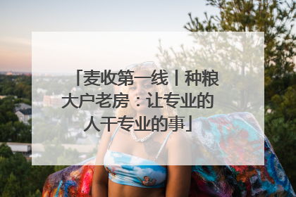 麦收第一线丨种粮大户老房：让专业的人干专业的事