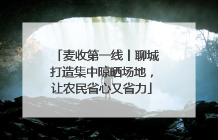 麦收第一线丨聊城打造集中晾晒场地，让农民省心又省力