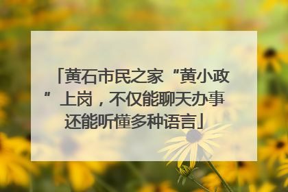 黄石市民之家“黄小政”上岗，不仅能聊天办事还能听懂多种语言