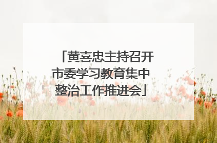 黄喜忠主持召开市委学习教育集中整治工作推进会