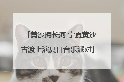 黄沙拥长河 宁夏黄沙古渡上演夏日音乐派对