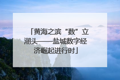 黄海之滨“数”立潮头——盐城数字经济崛起进行时