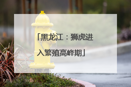 黑龙江：狮虎进入繁殖高峰期
