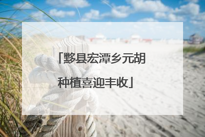 黟县宏潭乡元胡种植喜迎丰收