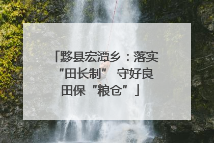 黟县宏潭乡：落实“田长制” 守好良田保“粮仓”