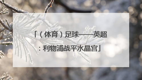 （体育）足球——英超：利物浦战平水晶宫