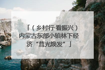 （乡村行·看振兴）内蒙古东部小镇林下经济“茸光焕发”
