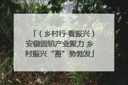 （乡村行·看振兴）安徽固镇产业聚力 乡村振兴“畜”势勃发