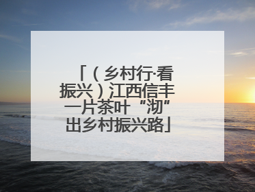 （乡村行·看振兴）江西信丰一片茶叶“沏”出乡村振兴路